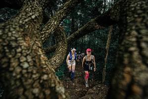 BIB: 
                            <button type="button" onclick="openModal(25697495)" class="btn btn-primary btn-sm float-right btn-popup" data-toggle="modal" data-target=".modal-high-quality">
                        <i class="fas fa-shopping-cart"></i> Add to Cart
                    </button>
                                            <button type="button" onclick="isThisMe(25697495, true)" class="btn btn-success btn-sm float-right btn-popup btn-isme hidden" data-toggle="tooltip" data-placement="bottom" title="นี่คือรูปของคุณใช่ไหม คลิกที่นี่เพื่อเอาเข้าอัลบั้ม">
                        <i class="fas fa-plus"></i> Add to album
                    </button>
                    <button type="button" onclick="isThisMe(25697495, false)" class="btn btn-warning btn-sm float-right btn-popup btn-isnotme hidden">
                        <i class="fas fa-ban"></i> Remove from album
                    </button>